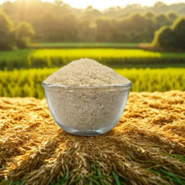 Thumbapoo Rice Illupaipoo Samba Rice – Swathi Lakshmi Trader